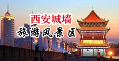 欧美裸体骚逼阴蒂肛交中国陕西-西安城墙旅游风景区