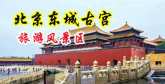 男生猛操女生逼的视频中国北京-东城古宫旅游风景区